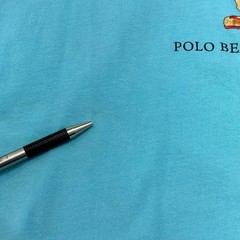 Polo Ralph Lauren Bear Graphic Tee Mens Small Short Sleeve Blue Classic Fit