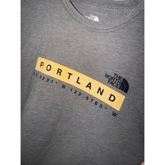The North Face Portland Coordinates T Shirt Mens L/G Gray Standard Fit