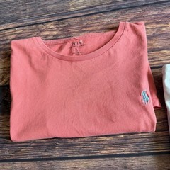 Ralph Lauren T-Shirt Bundle Men’s Size Large – Baby Blue & Pink