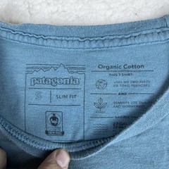 Patagonia Mens Slim Fit Small Teal Green Graphic Tshirt Bear Logo Hiking Outdoor