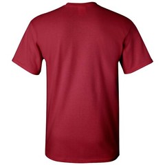 Louisiana Worst State Ever – Home Sports Team Short Sleeve T-Shirt – Cardinal