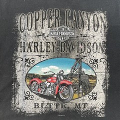 Harley Davidson T Shirt Work Sucks It’s Time To Ride Y2K Men’s 2XL Hanes Beefy T