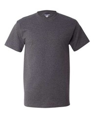 Champion Unisex Classic T-Shirt – T425