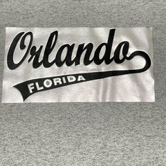 Orlando Florida Shirt Mens XL Grey Baseball Glossy Silver Logo Delta Pro Weight