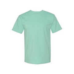 Hanes 5250 Authentic-T Unisex T-Shirt Clean Mint Crew Neck Short Sleeve NEW
