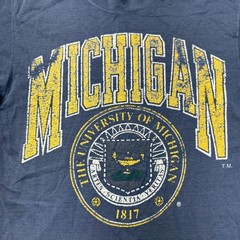 Vintage Best Michigan T-Shirt Single Stich 90s Retro USA Blue Mens Medium