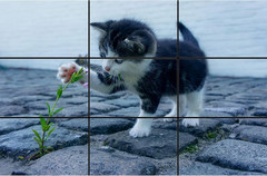 Golden Ratio, Fibonacci & Rule of Thirds Composition Tool Credit Card-Sized View