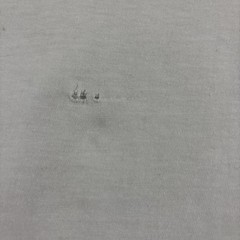 Polo Ralph Lauren T Shirt Mens Small Polo Bear Hot Cocoa Preppy White Tee FLAW