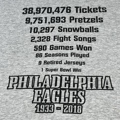 Philadelphia Eagles 1933-2018 Priceless T Shirt Size Large Gildan Hammer Gray