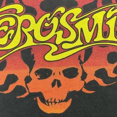 Vintage Y2K Aerosmith T-Shirt Sz L Band Tee Graphic Rag Doll Skull Flames Fire