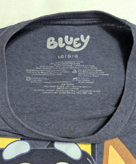 Bluey Family Graphic T-Shirt Size LG Adult Unisex Crew Neck Short Sleeve Heather