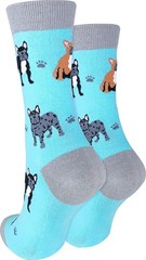 French Bulldog Frenchie Women Premium Comfort Socks Fits Size 410 Novelty