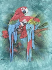 The Mountain Parrot Shirt Mens 2XL Blue Tie Dye Macaw Bird AOP Graphic Tee