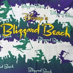 Vintage 90s Disney Blizzard Beach All Over Print Shirt Size XL