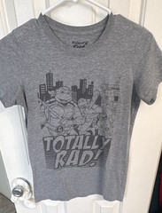 Mighty Fine Nickelodeon TMNT Totally Rad Graphic Tee Gray Men’s M Crew Neck