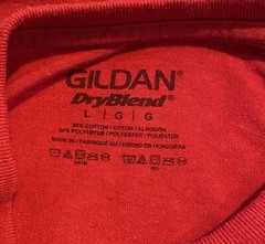 Mouth and Tongue Graphic Red GILDAN DryBlend T-Shirt Unisex Size Large
