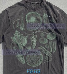 Sea Shells Ocean Life Nautical Beach Coastal Comfort Tee