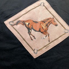 Vintage Cowboy Horse T-Shirt XL 90’s Hanes Patch Printed Sleeves Western rock