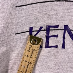 Vintage Kenyon College Champion Shirt Adult Large Gray Long Sleeve 90’s USA