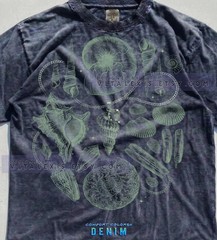 Sea Shells Ocean Life Nautical Beach Coastal Comfort Tee