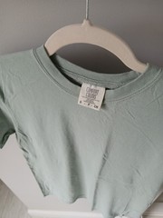 Comfort Colors Blank T-Shirt in Bay – 12 SHIRTS – VARIOUS SIZES – S, M, L, XL