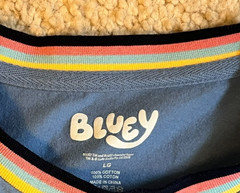 BLUEY Short Sleeve T SHIRT Bandit Bingo Bluey Chilli Embroidered BOX LUNCH Large