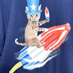 Way To Celebrate Patriotic Womens T Shirt Size 3XL Blue