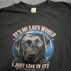 Delta Pro Weight T-Shirt Mens Size XL Black It’s My Lab’s World Dog Graphic Tee