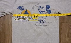 Walt Disney World T-Shirt Men’s Small Gray Cotton Springer Break 07 Short Sleeve