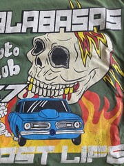 VALABASAS Men’s Green Skull Car Graphic Print Crew Neck Short Sleeve T-Shirt XL