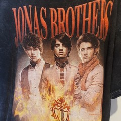 Jonas Brothers Shirt, Vintage Nick Jonas shirt, Kevin Jonas Fan Tees, Shirt XL