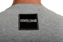 Roberto Cavalli “SPORT” Men’s Gray Embellished Stretch T-Shirt US 2XL IT 56
