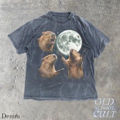 Vintage Capybara Galaxy Animal Graphic Comfort Tee