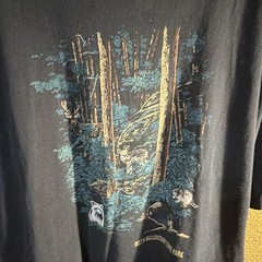 Vintage Hanes Heavyweight Mens XXL Black Roan Mountain State Park Graphic shirt