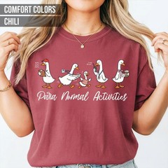 Paraprofessional Silly Goose Shirt, Para Normal Activities Unisex T-Shirt