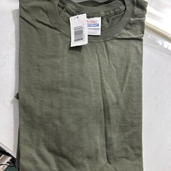 Hanes Mens Comfort T-Shirt Heavyweight 100% Cotton Plain Basic Tee 5250 Green XL
