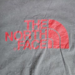 The North Face Size Medium Gray and Red Short Sleeve Shirt – Graphic is Cracking