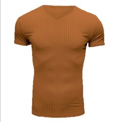 For Gym Training Men V Neck T Shirt Casual Wear Style Polyester Fiber Fabric