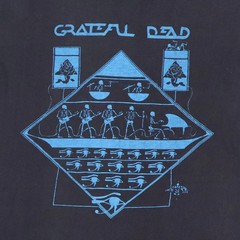 Vintage 1978 Grateful Dead Egypt Tee Shirt Black All size Reprint BTH54