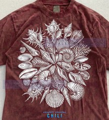 Old School Seashells Ammonite Comfort Tee