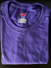 Hanes Tagless 100% Preshrunk Cotton Men’s Size Large Tee Shirts Many Colors