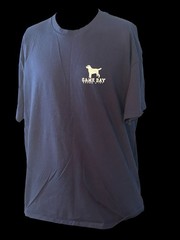Crown & Ivy Game Day Men’s Large T-Shirt Dogs Playing Football