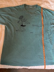 Vintage 90s BC Comic Hagar the Horrible Shirt Teal XL Anvil Authentic Pigment