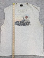 Y2K 2000 Harley Davidson XL Tank Hawaii Embroidered Legendary Big Island