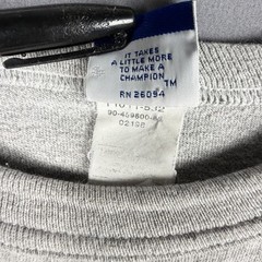 Vintage Champion Kenyon College Heather Gray T Shirt USA Medium 19×24