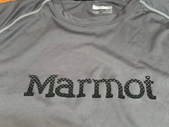 Marmot Gray Light Weight T-Shirt Mens XL