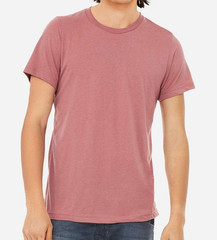 NEW Blank Bella + Canvas Triblend Unisex/Mens T-Shirt #3413 Various Colors