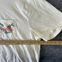 Chubbies T Shirt Men’s 2XL White Retro Surf Sunset NWOT