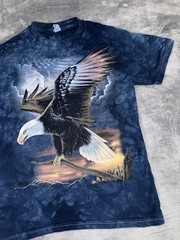 Nature USA Bald Eagle Patriotic Mens T-Shirt Size Small Blue