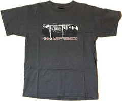 Vintage 2000 Deftones White Pony band t-shirt GIANT tag